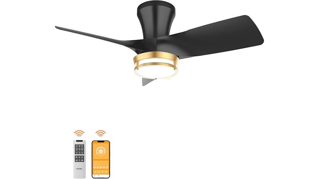black 30 inch ceiling fan