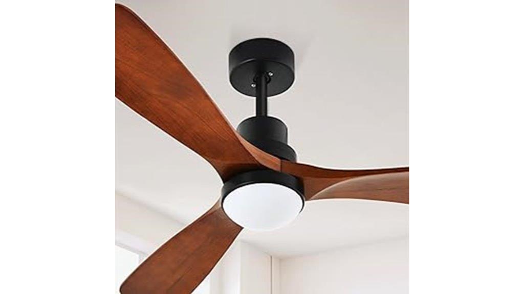 ceiling fan with lights