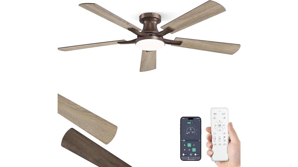 large ceiling fan light