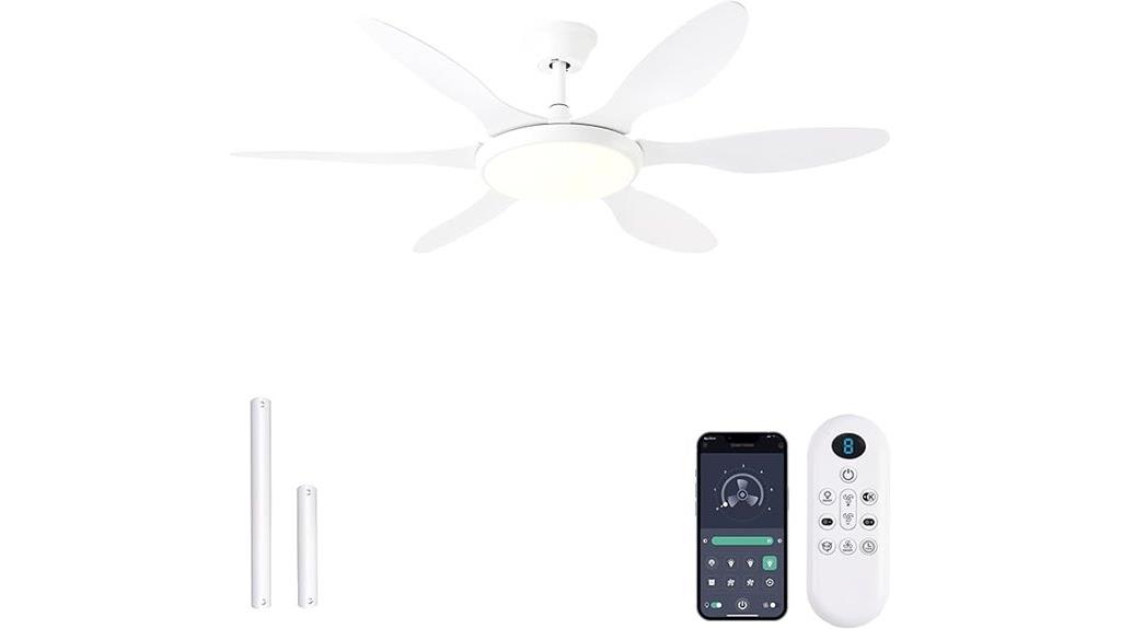 large ceiling fan with lighting