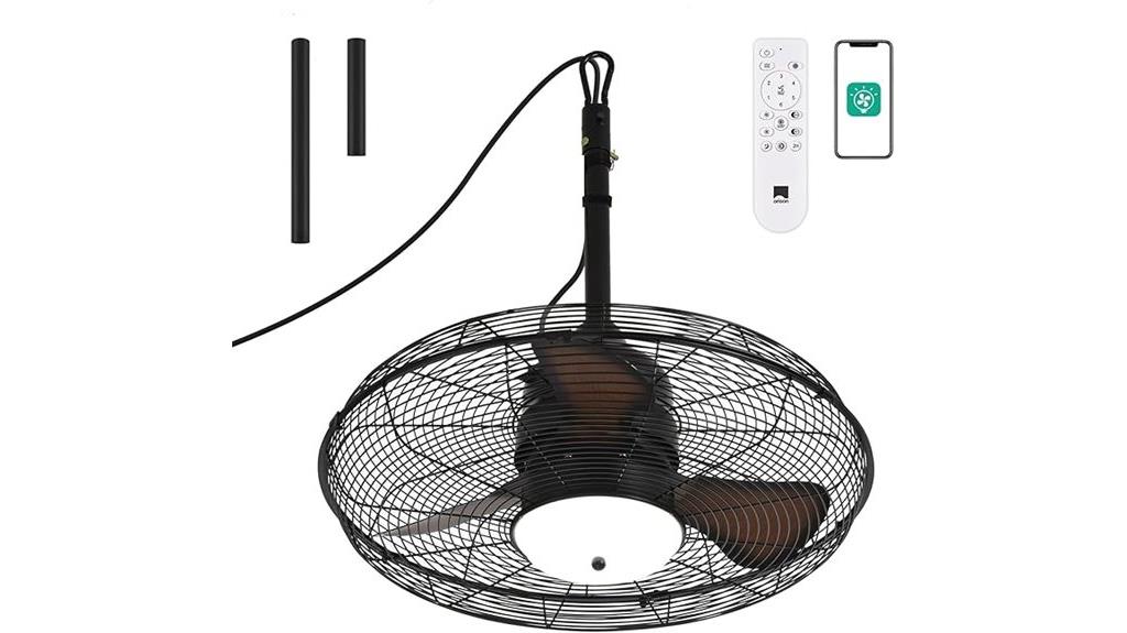 outdoor ceiling fan with light
