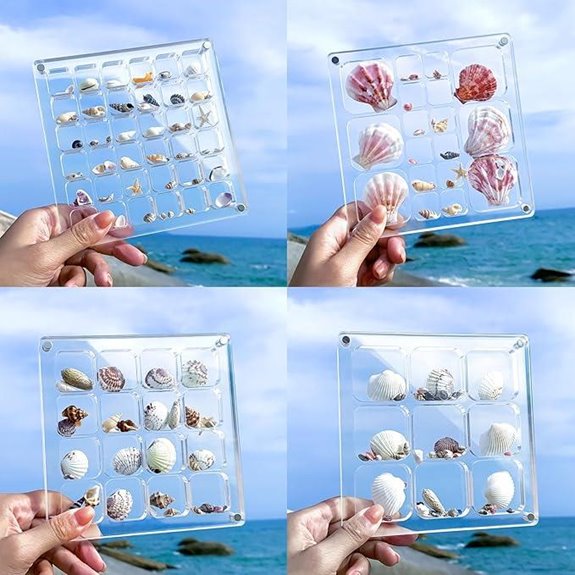 Multi-Style Acrylic Seashell Display Box
