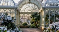 european winter garden fans