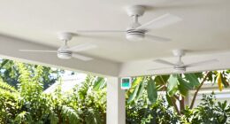smart fans prevent mold