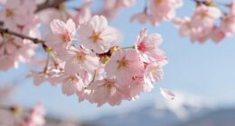 springlike winter breezes