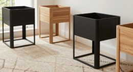 top carpet safe indoor planters