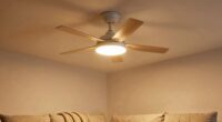 warm winter fan lighting