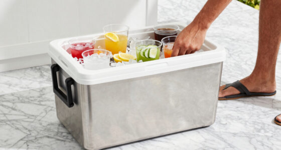 12 Best Premium Coolers for Patio Entertaining in 2026