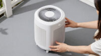 13 Best Covered Porch Dehumidifiers in 2026
