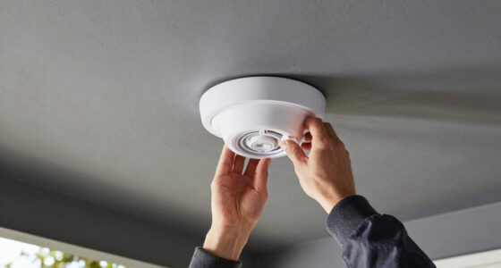 15 Best Ceiling Mounted Electric Patio Heaters for Porches in 2026
