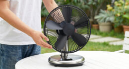 6 Best Outdoor Oscillating Fans for Patios in 2026
