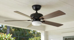 7 Best Rust Resistant Outdoor Ceiling Fans in 2026