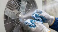 fan cleaning and maintenance