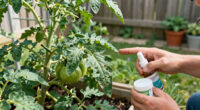 What’s Eating Your Plants? How to Identify Leaf Damage and Stop the Culprit Fast