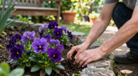 10 Ravishing Purple Flowers To Grow For The Most Beautiful Garden Borders Of All Time – Get Ready To Swoon!