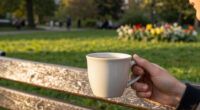 Hamburg's Stadtpark: A Park Built To Be Used