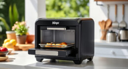 Ninja Foodi 10-in-1 Smart XL Air Fry Oven: Your Summer Cooking Companion