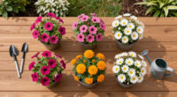 These 6 Flower Container Combinations Stay Beautiful All Summer – Without Constant Watering