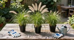 10 Best Easy-to-Grow Ornamental Grasses That Add A Professional Polish To Your Backyard