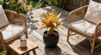 Goldie Hawn’s One-Plant Rule Makes Any Patio Look More Expensive – Even On A Budget