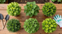 Plant These 6 Fast-Growing Shrubs Now For Beautiful Living Shade That Keeps Your Yard Cooler Every Year
