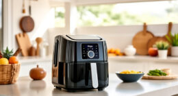 Summer-Ready Ninja Air Fryer XL for Crispy, Healthy Outdoor Meals