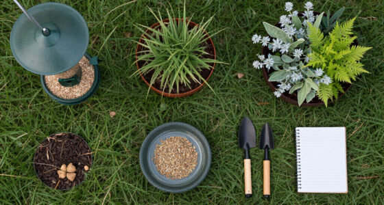 Turn Your Yard Into A Migrating Bird's Favorite Pit Stop – Add These 4 Elements To Your Garden To Help Them On Their Journey