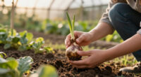Garden Mythbusters: Does The Pointy End Of A Bulb Really Need To Face Up When You Plant It?