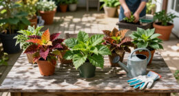 Must-Have Plants That Will Be Twice The Price Come Spring – Add Them To Your Yard Now And Save Yourself A Fortune