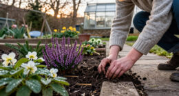 12 Plants To Add To Your Garden Now For Winter Beauty