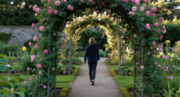 15 Best Rose Garden Arches for Climbing Roses in 2027