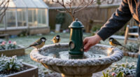 4 Smart Ways To Winterize Your Bird Bath And Stop This Life-Giving Water Supply Freezing Over