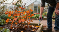 7 Shrubs And Trees You Should Never Prune In October – Or You Could Sacrifice Next Spring’s Blooms