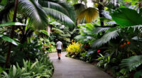 9 Of The World’s Most Extraordinary Gardens, From Skyscraper Forests To A Tropical Rainforest Hidden Inside A Former Mine