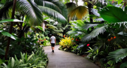 9 Of The World’s Most Extraordinary Gardens, From Skyscraper Forests To A Tropical Rainforest Hidden Inside A Former Mine