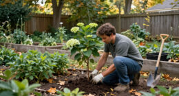 The Best Time To Move These 6 Backyard Plants Is Fall – To Make Sure They Get A Better Start Next Year
