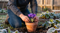The One Flower To Grow If You Want Your Garden To Look Better After The First Frost
