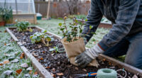 The One Winterizing Job You Should Do After The First Frost – Not Before