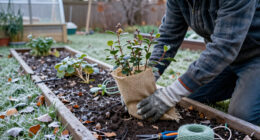 The One Winterizing Job You Should Do After The First Frost – Not Before