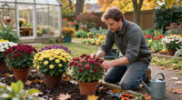 What Your Mums Need In October – 5 Secrets To Better Blooms This Fall And Next Year