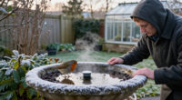 Wildlife Experts Say This Clever Gadget Will Stop Your Bird Bath From Freezing Over This Winter – It’s A Fuss-free Way To Support Birds In Cold Weather